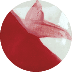 CC065