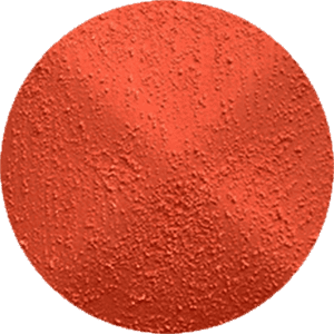 DS013
