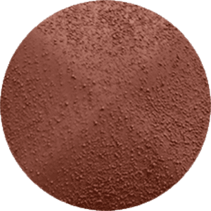 DS017