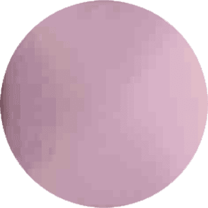 WP021
